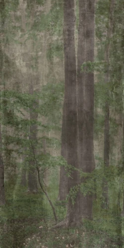 Przejdź do produktu Abk Wide&Style Woods A Naturale 160x320 cm Rekt.