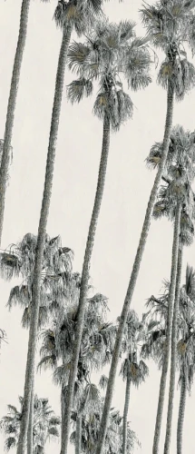 Przejdź do produktu Abk Wide&Style Hollywood A Naturale 160x320 cm Rekt.