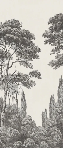 Przejdź do produktu Abk Wide&Style Acquaforte A Naturale 160x320 cm Rekt.