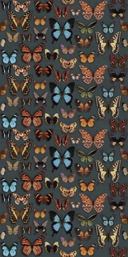 Przejdź do produktu Abk Wide&Style Papillon Naturale 160x320 cm Rekt.