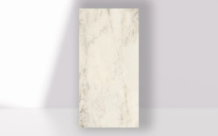 79a93c70b901100e8b4c06af170411f9