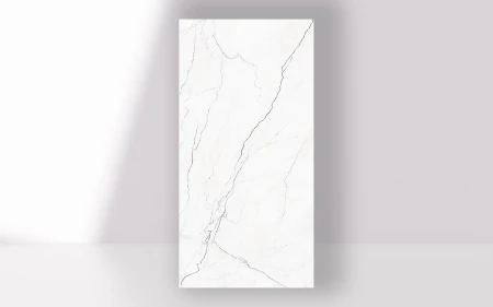 7513bb935bbc14666765845336f94616