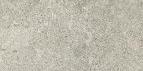 Przejdź do produktu Caesar Portraits Newport Textured 60x120 20mm rekt.