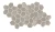 bb49b5c492b4e1d6aeae26f81fddc5f0