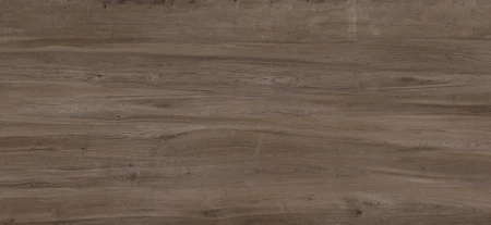 856d8728906e5309d5c6955ce22a6c04