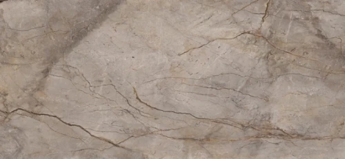 Przejdź do produktu Apavisa Wild Forest Grey Mix Polished 120x260