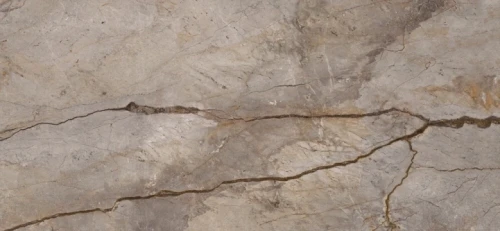 Przejdź do produktu Apavisa Wild Forest Grey Mix Naturale 120x260