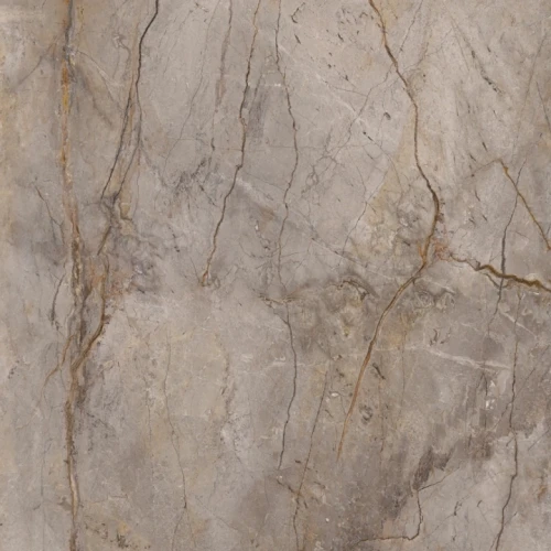 Przejdź do produktu Apavisa Wild Forest Grey Polished 60x60  Rekt.