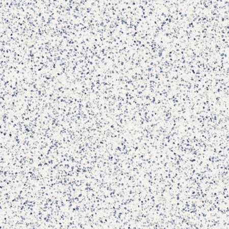 b1fd070bcbd15692428b956541fdd0c5