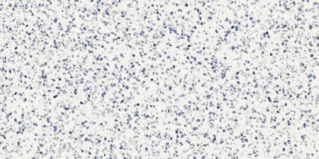 d5fe125e3be86cf144245ca0183b4042