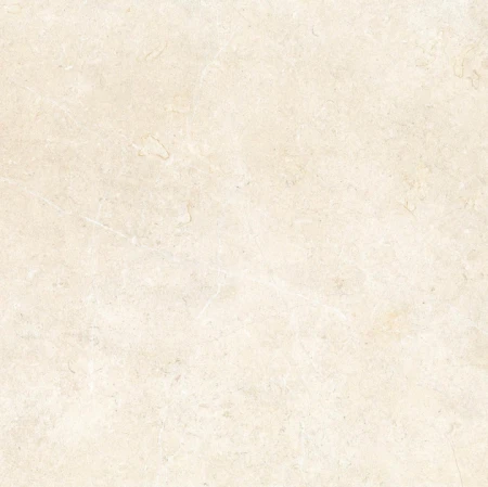 09e4f9a77ba85c40a34cf5ab00fd7f19
