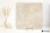 e15fd443d60ff78796dc67462cfa4e52