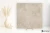 550cc01ce994a024ff37275835215d64