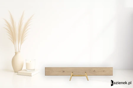 40cc33da0b91c90c8e9756f509379601