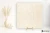 bd45e4a2078b649eea60d9ec451e8261