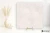 a371cefa100b1081a37331b046603193