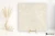 cfab599b8bddd0e7a18bdad6ef158813