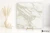 d5dc7e5e92c4d524398d8d28484264f9