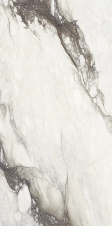 9ba31ae21607e362177d2b085d830696