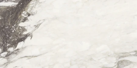 58976e5dfc7362a72ee5b0ce1072651b