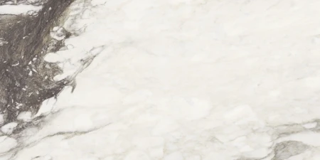 02594b4f95b23d6335effaa1be6103d2