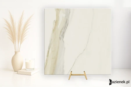 fe43b978449a093adb7d5625820a14d5