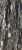 ff84c51580590be2247f7a141b9218ed