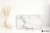 ab78872bcdcc60a4c13aba16fc6cb62f