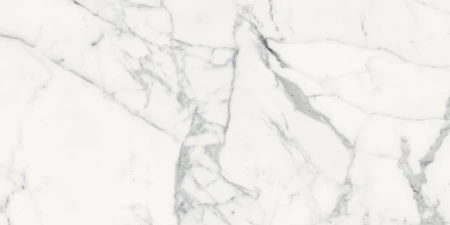 b2433135e1d8c76b00ca0964df183995