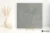 2c00d00b8f1036362d22570ec06c9801