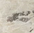 Florim Onyx&More Golden Blend satynowa 120x120 - płytka imitująca marmur
