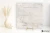 Florim Onyx&More White Onyx błyszcząca 120x120 - płytka imitująca marmur