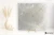 6f5028c3d9631a6c14c3e15f5ecacd7b