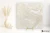 Florim Rock Salt White Gold naturalna 120x120 - płytka imitująca kamień