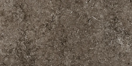 31161356a35b136bdb0d7a68444fb40e