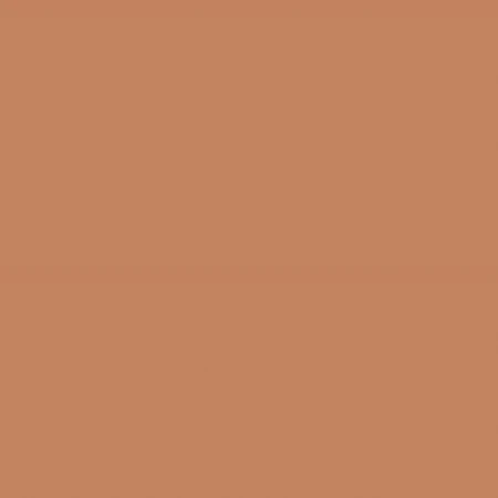 Fioranese Italian Landscape Terracotta 20.5x20.5 -płytka nierektyfikowana - płytka imitująca kamień