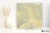 Fioranese Unica Jade Green 60x60 - płytka imitująca marmur