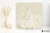 Fioranese Unica Crystal White 89x89 - płytka imitująca marmur