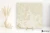Fioranese Unica Crystal White 60x60 - płytka imitująca marmur