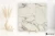 Fioranese Prestige Arabescato Effect 60x60 - płytka imitująca kamień