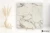 Fioranese Prestige Arabescato Effect 30x30 - płytka imitująca kamień