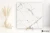 Fioranese Marmorea Intensa Bianco Luce 15x15 - płytka imitująca marmur