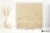 d9d31a2fd4ec2061dbc8cf119b127028