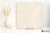 Ragno Realstone_Argent Avorio 120x120 - płytka imitująca beton