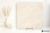 Ragno Realstone_Argent Avorio 60x60 - płytka imitująca beton