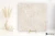 638a62ad3713de300ad250ebec29d72a