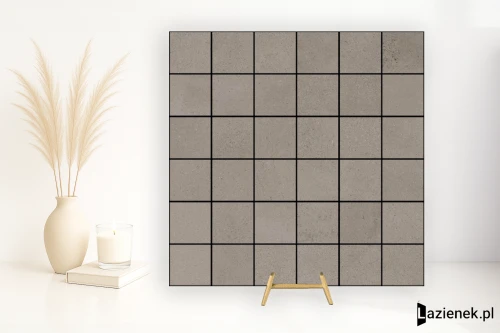 Przejdź do produktu Ragno Replace Tortora matowa 30x30 cm gr. 10 mm - płytka nierektyfikowana / R5MN