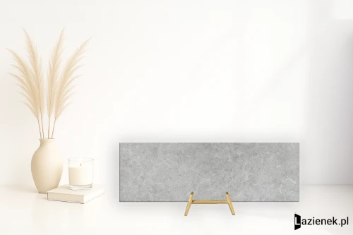 Przejdź do produktu Ragno Richmond Silver matowa 33x100 cm gr. 10 mm - płytka rektyfikowana / RACW