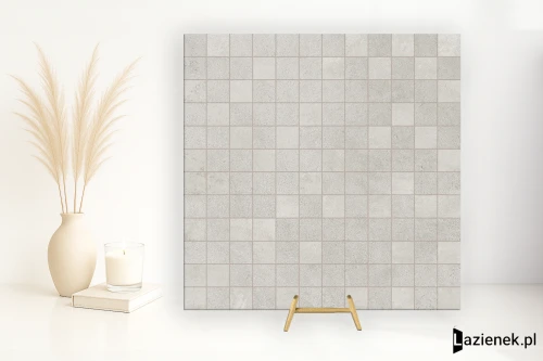 Przejdź do produktu Ragno Roots Grey matowa 30x30 cm gr. 10 mm - płytka nierektyfikowana / R8PR