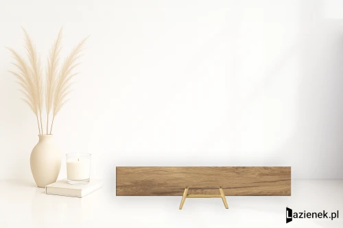 Płytki Ragno Woodclass